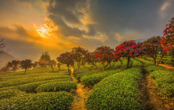 推薦8個國內適合12月旅行的目的地，再給自己安排一場旅行吧