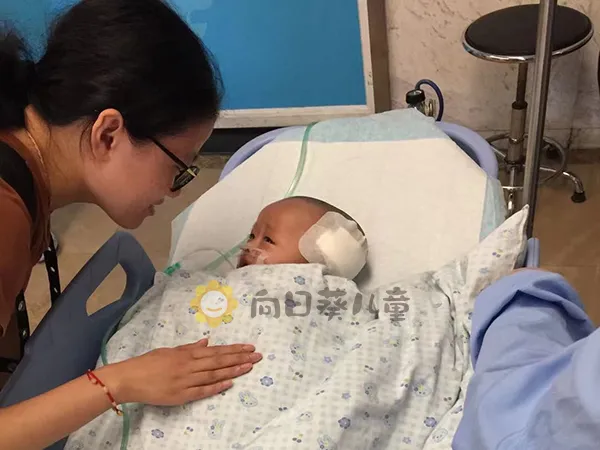 4個月腦瘤嬰兒半年開顱5次 90後新手父母帶兒披荊斬棘