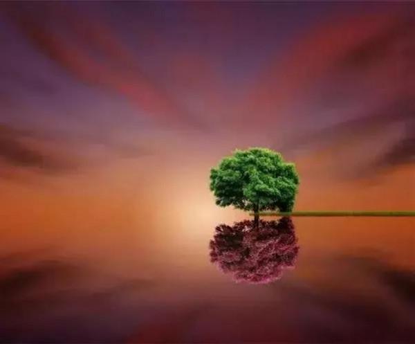 中國式善良，我不配