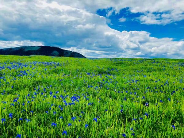 麗江小眾秘境指南｜林那谷：徒步、觀星、賞花新地標