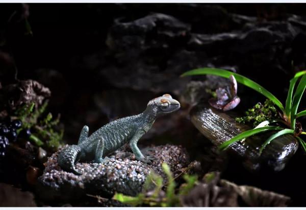 壽山新秀作品集（2）