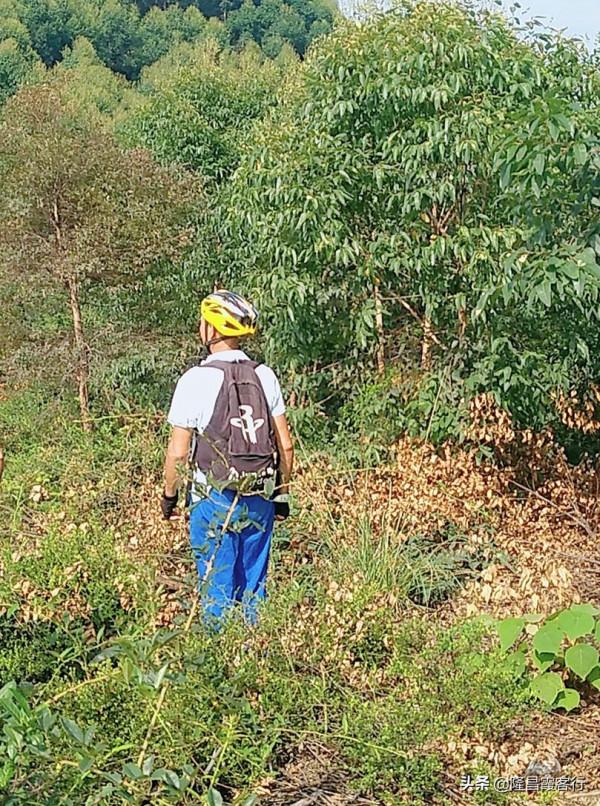 隆昌石燕橋尋“九龍石”奇遇記