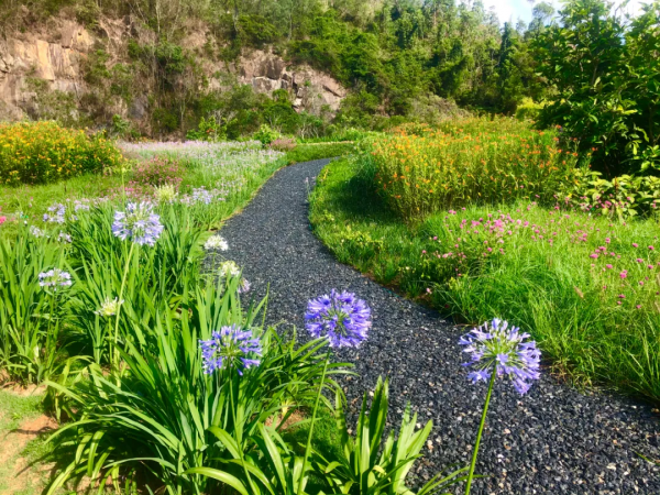 學會搭配這8種園藝植物，讓你的花園收穫一個有趣的靈魂