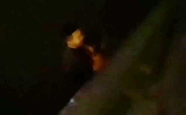 點贊！學員李文新安，你跳湖救人的樣子真的很帥