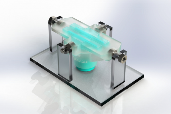 科學家開發出新型水凝膠生物材料：可修復心臟、肌肉和聲帶