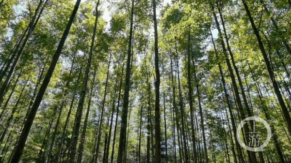 中秋豔陽高照 登山探秘自然 中秋豔陽高照 登山探秘自然