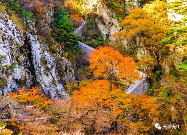 門票全免，索道八折，“堯山·醉美紅葉季”詩意歸來！