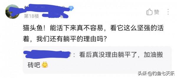 身殘志堅！無臉“貓頭魚”引發網友熱議：看後沒理由躺平了