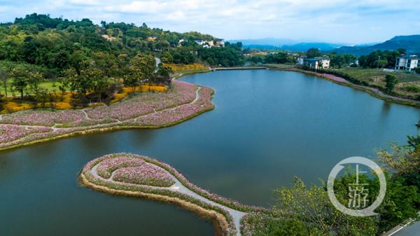 國慶好去處 | 到天坪山 聽聽格桑花開的聲音