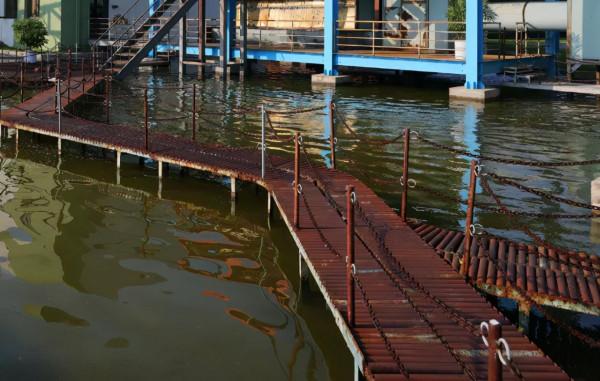 好一個「垃圾專案」