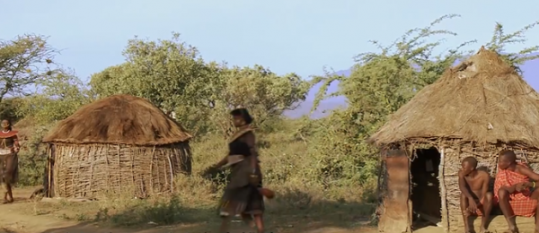 非洲原始部落:這群人結婚彩禮要給20頭牛加20只羊,你覺得多嗎? 非洲原始部落:這群人結婚彩禮要給20頭牛加20只羊,你覺得多嗎?