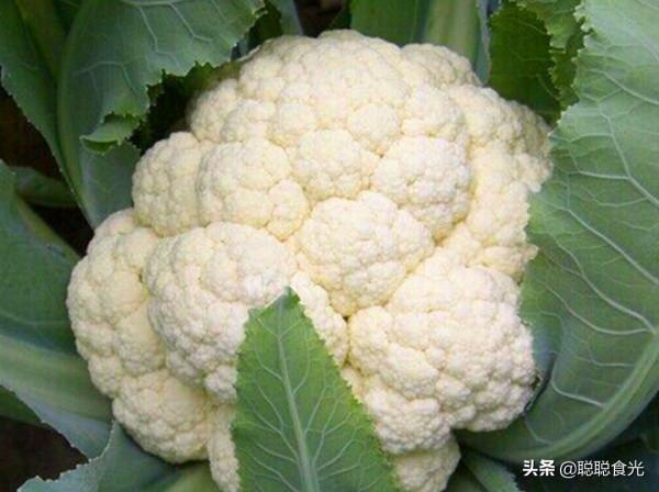 秋天女性多吃這8種食物，維C豐富營養高，應季新鮮，價格便宜