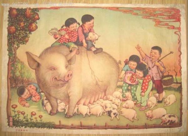 毛主席提升豬的地位至“六畜”之首：一定要做到可以“有豬吃”