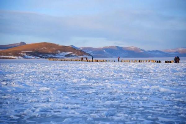 雪後的西藏,最聖潔~~ 雪後的西藏,最聖潔~~