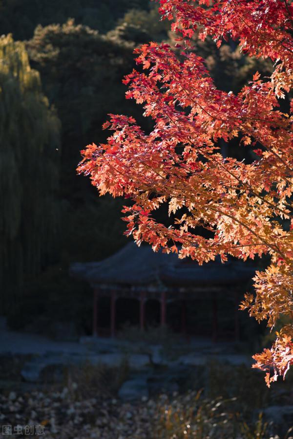 穿越千年,當秋日美景遇上古詩詞,許你一個詩意的山河 穿越千年,當秋日美景遇上古詩詞,許你一個詩意的山河