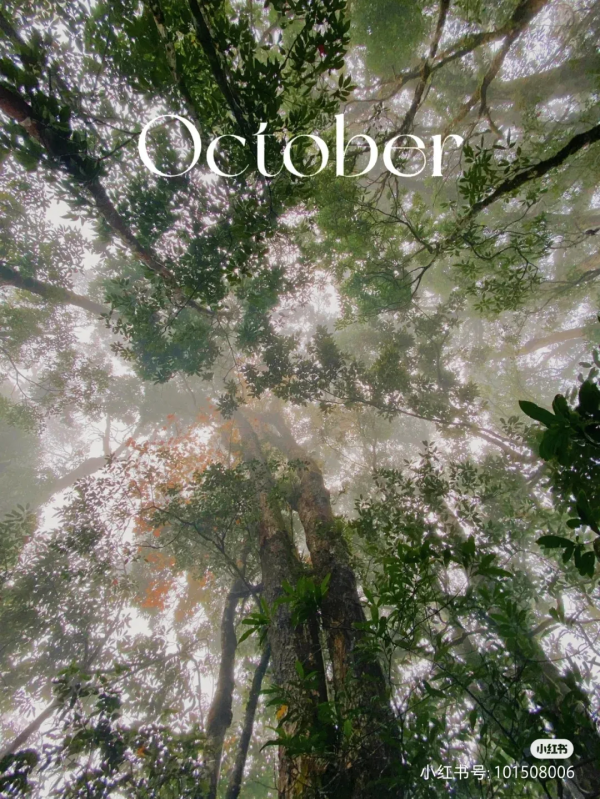 這是旅行博主眼中的屏邊……