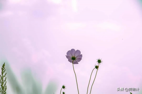 2021年爆火的50首歌，哪首是你的單曲迴圈？