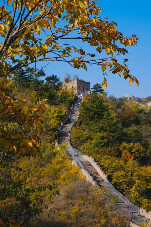 【玩轉懷柔】2021懷柔賞秋攻略出爐！一個字，絕！