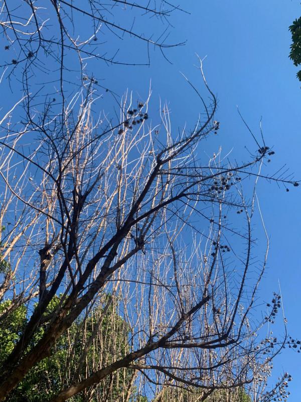 銀子生活日記__2022第一場慢跑 銀子生活日記__2022第一場慢跑