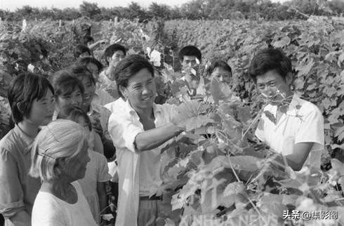 濰坊高密市五十至八十年代老照片