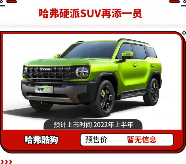 13&period;49萬買小號A7 更有比亞迪新車！2022年這些國產車不可錯過！