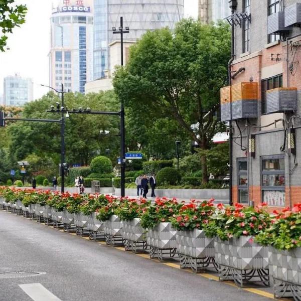 進博會開幕在即!綻放在道路、主題景點、花壇花境的限定美景來了→ 進博會開幕在即!綻放在道路、主題景點、花壇花境的限定美景來了→