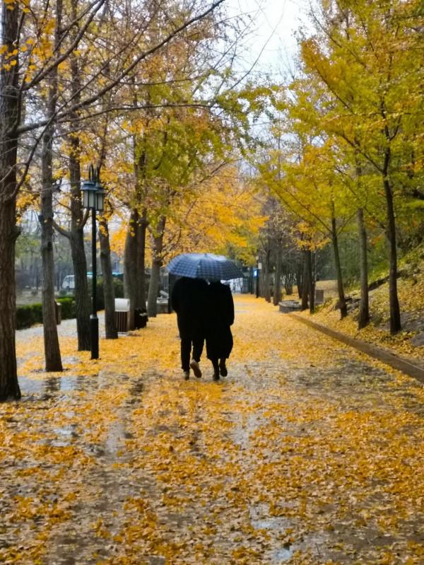 圓明園中買賣街 穿越清朝看熱鬧 圓明園中買賣街 穿越清朝看熱鬧
