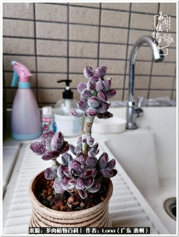 學會和解:與自己、與他人、與世界 學會和解:與自己、與他人、與世界