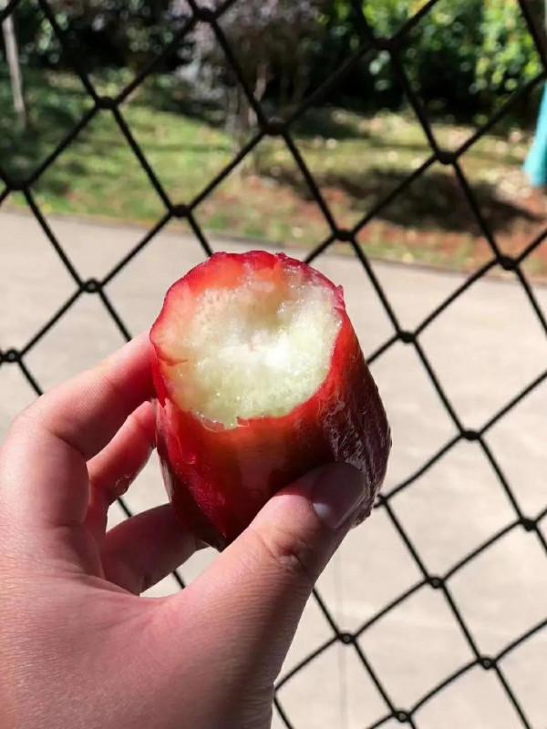 蓮霧：香甜爽脆