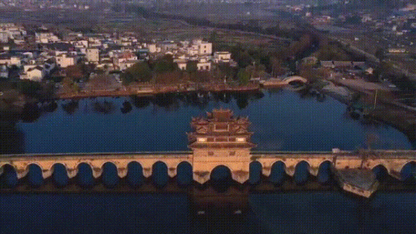 曾破吉尼斯世界紀錄！80萬畝花海齊綻放！這裡藏著國內最早的春天