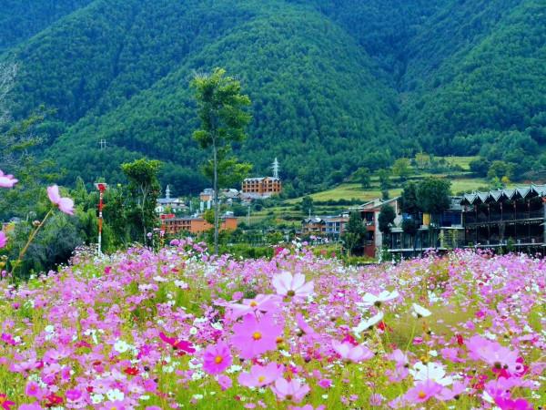 來吧！一起踏上秋天的旅途