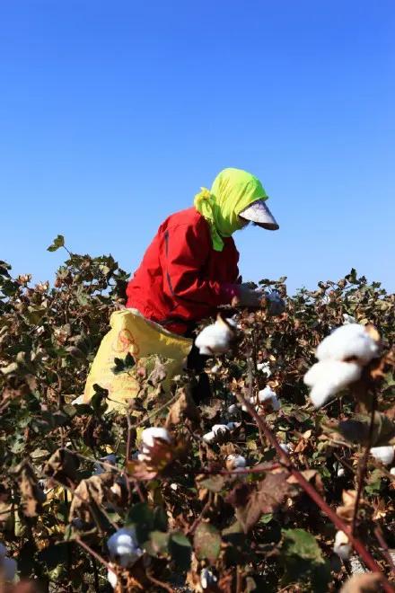 我的傳奇兄弟(原創) 我的傳奇兄弟(原創)