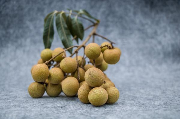 龍眼樹盆栽怎麼養殖？龍眼樹一般適宜生長在多少度的溫度環境中？