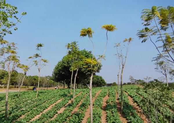 戶外｜從石巖湖溼地公園到羊台山