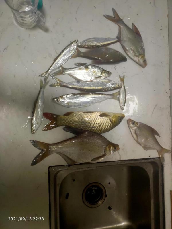 快樂釣魚人 快樂釣魚人