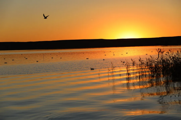 毫無懸念!今年最美的國內秋天,果然還是額濟納 毫無懸念!今年最美的國內秋天,果然還是額濟納