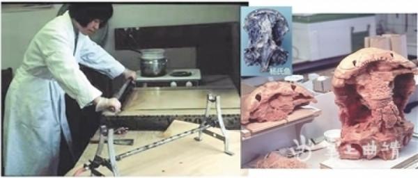 先驅楊氏魚：改寫人們對四足動物起源認知的魚