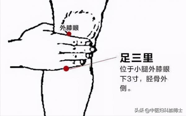 中醫認為：月亮與健康有密切的關係，要跟著月亮去養生