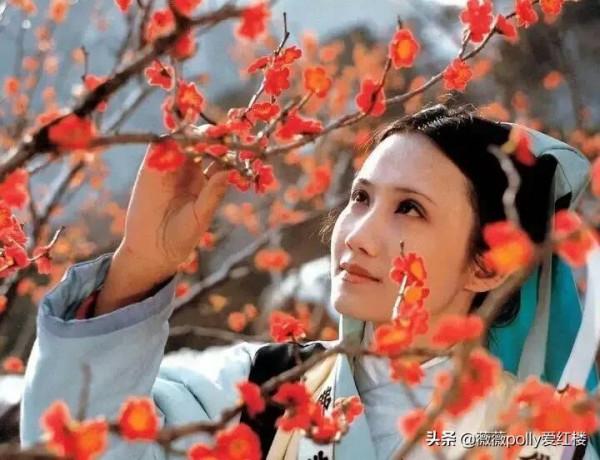 我家下三等的奴才也比你高貴些,紅樓夢中風塵女子,不單是小戲子 我家下三等的奴才也比你高貴些,紅樓夢中風塵女子,不單是小戲子