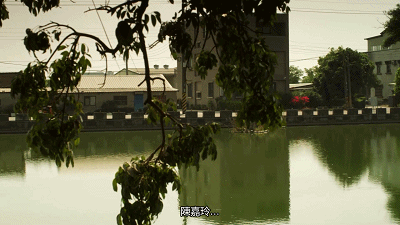 開播24小時拿下豆瓣9.6分，這女人什麼來頭