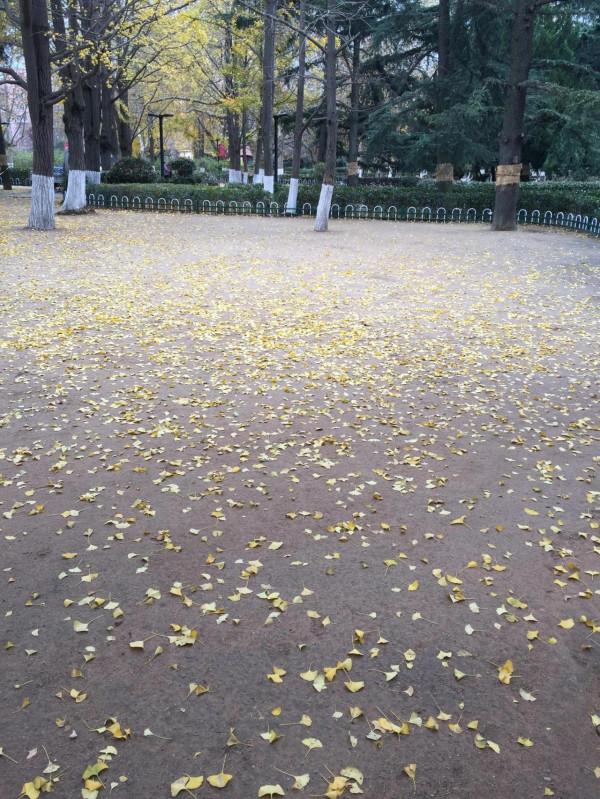 我和秋天有個約會