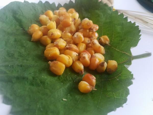 釣法彈簧釣你知多少，簡單易學，一人可釣多竿輕鬆上魚