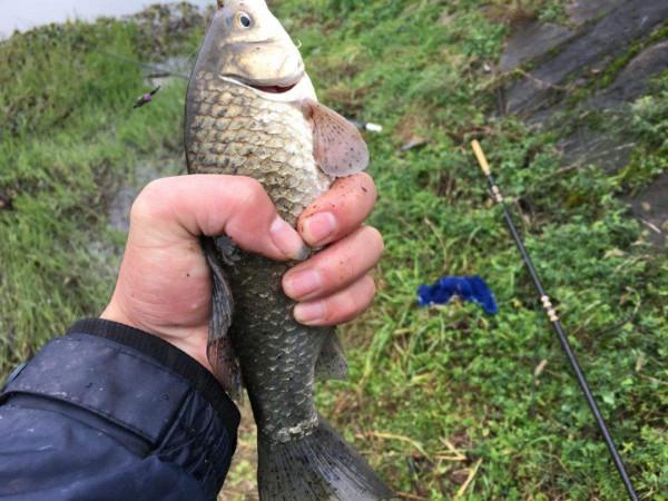 釣魚最忌釣死魚，學會這四個變，進化到高手，也就不遠了