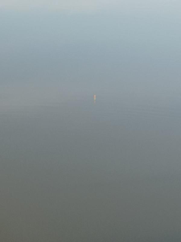 5米寬的河溝頻率逐漸加快，魚口竟然如此暴躁