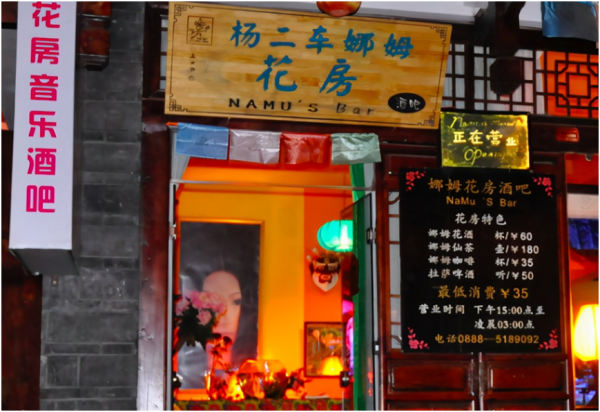 國際走婚族，表白總統薩科奇，“人間異類”楊二車娜姆的瀟灑人生