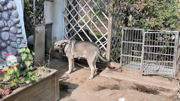 自從來到這，我把市裡的房子給賣了