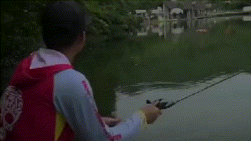 五花八門的軟蟲釣組，你知道高手們都是怎麼用的嗎？