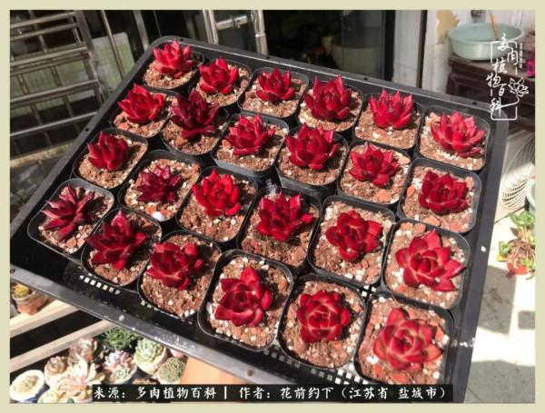 你儘管善良,福報都在路上 你儘管善良,福報都在路上