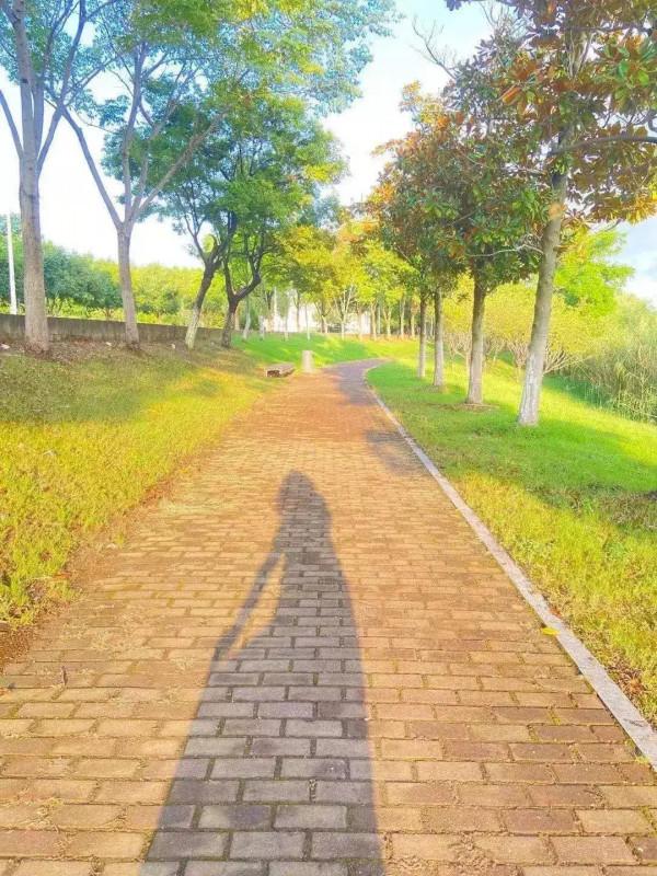 中秋節雜詠 (律詩)