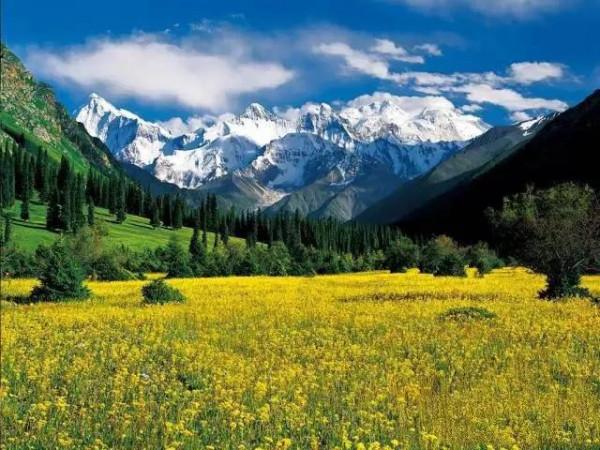 分享大美新疆 景色怡人 美美美